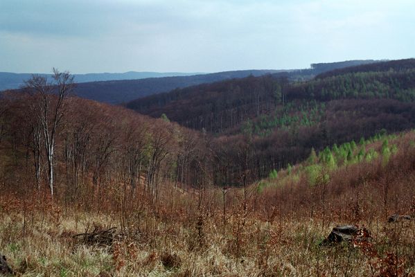 Lovčice, 19.4.2004
Ždánický les, výhled z hřbetu U Slepice


Schlüsselwörter: Lovčice Ždánický les U Slepice