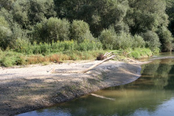 Harhaj, 19.9.2014
Meandry Topľy.


Klíčová slova: Harhaj řeka Topľa