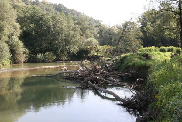 Harhaj, 19.9.2014
Meandry Topľy.



Klíčová slova: Harhaj řeka Topľa