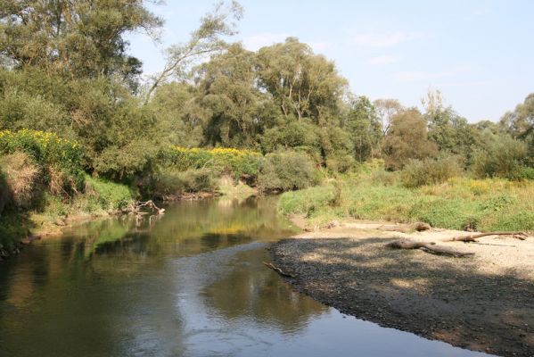 Harhaj, 19.9.2014
Meandry Topľy.



Schlüsselwörter: Harhaj řeka Topľa