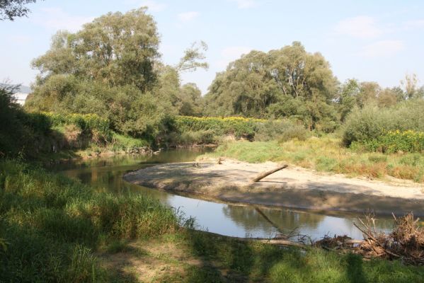 Harhaj, 19.9.2014
Meandry Topľy.



Klíčová slova: Harhaj řeka Topľa