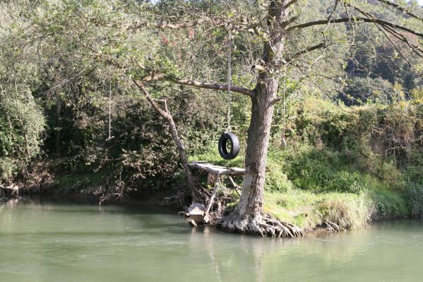 Harhaj, 19.9.2014
Meandry Topľy - přírodní koupaliště v hluboké tůni .



Klíčová slova: Harhaj řeka Topľa