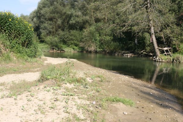 Harhaj, 19.9.2014
Meandry Topľy - přírodní koupaliště v hluboké tůni.



Klíčová slova: Harhaj řeka Topľa