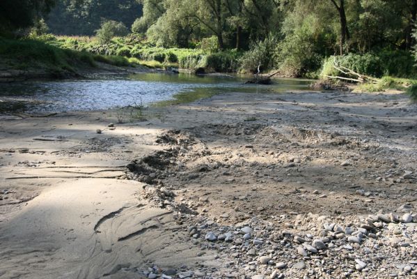 Harhaj, 19.9.2014
Meandry Topľy - drobná těžba písku.



Schlüsselwörter: Harhaj řeka Topľa