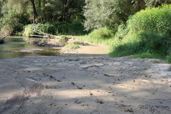 Harhaj, 19.9.2014
Meandry Topľy.



Klíčová slova: Harhaj řeka Topľa