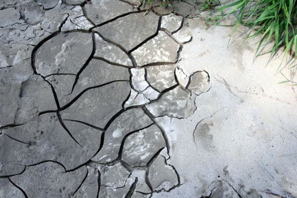 Harhaj, 19.9.2014
Meandry Topľy.


Schlüsselwörter: Harhaj řeka Topľa