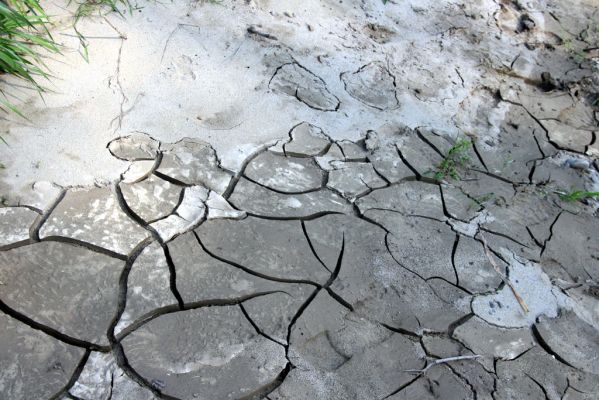 Harhaj, 19.9.2014
Meandry Topľy.


Klíčová slova: Harhaj řeka Topľa