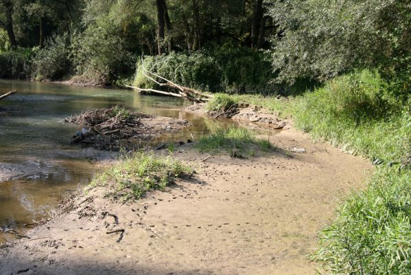 Harhaj, 19.9.2014
Meandry Topľy.



Schlüsselwörter: Harhaj řeka Topľa