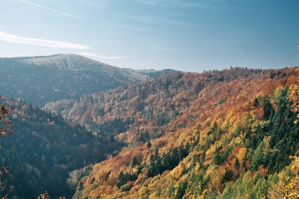 Místo, 26.10.2006
Pohled od hradu Hasištejna přes zachovalé suťové lesy v údolí Prunéřovského potoka na Volyňský vrch.
Klíčová slova: Krušné hory Místo Prunéřovský potok Volyňský vrch