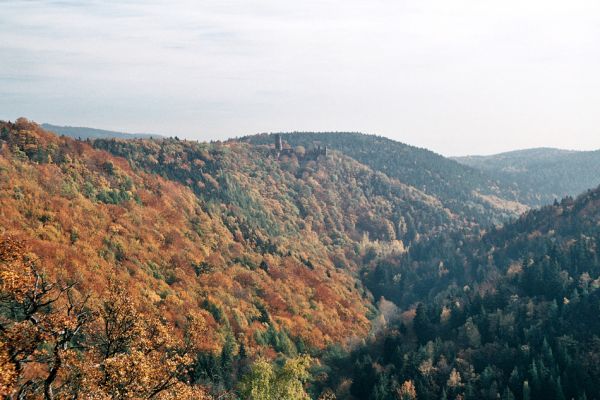 Místo, 26.10.2006
Pohled od západu přes zachovalé suťové lesy v údolí Prunéřovského potoka na hrad Hasištejn.
Keywords: Krušné hory Místo Prunéřovský potok Hasištejn páchník Osmoderma