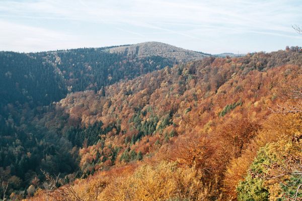 Místo, 26.10.2006
Pohled od hradu Hasištejna přes suťové lesy na jižních svazích údolí Prunéřovského potoka na Volyňský vrch.
Klíčová slova: Krušné hory Místo Prunéřovský potok Volyňský vrch