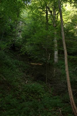 Třemošnice, 23.8.2012
Peklo u Hedvikova.



Klíčová slova: Třemošnice Peklo u Hedvikova