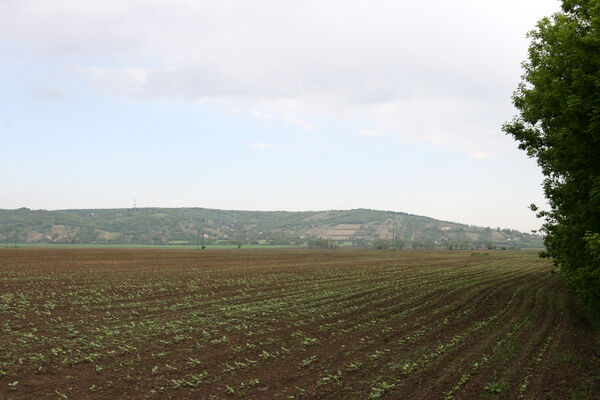 Nána, 1.5.2014
Modrý vrch z jihu.
Keywords: Štúrovo Hegyfarok Nána Modrý vrch Vŕšok