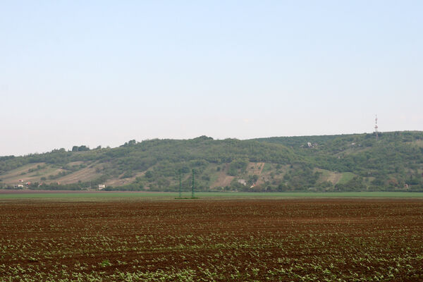 Nána, 1.5.2014
Modrý vrch z jihu - vrch Dank.
Keywords: Štúrovo Hegyfarok Nána Modrý vrch Dank