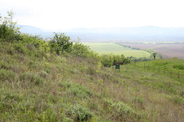 Nána, 1.5.2014
Modrý vrch, Vŕšok.
Keywords: Štúrovo Hegyfarok Nána Modrý vrch Vŕšok