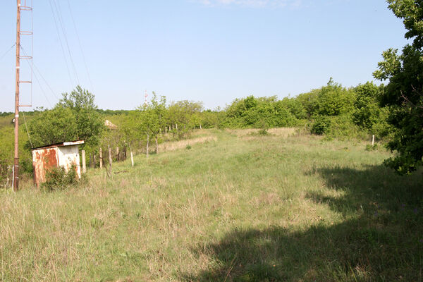 Nána, 1.5.2014
Modrý vrch, Vŕšok.
Keywords: Štúrovo Hegyfarok Nána Modrý vrch Vŕšok