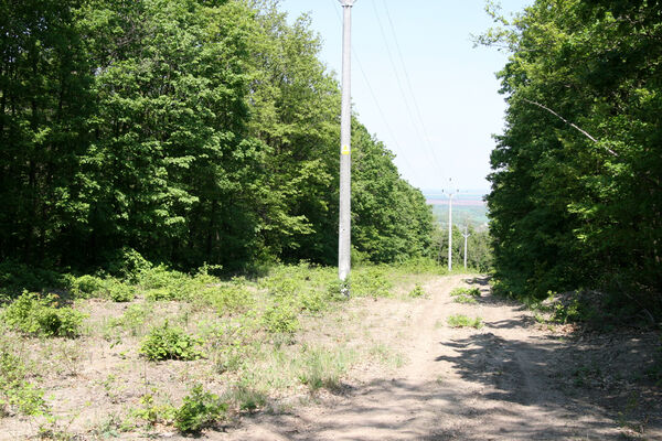 Kamenný Most, 1.5.2014
Modrý vrch.
Klíčová slova: Štúrovo Hegyfarok Kamenný Most Modrý vrch