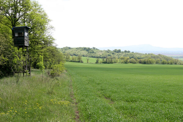 Kamenný Most, 1.5.2014
Modrý vrch - pohled na vrch Dank.
Mots-clés: Štúrovo Hegyfarok Kamenný Most Modrý vrch Dank