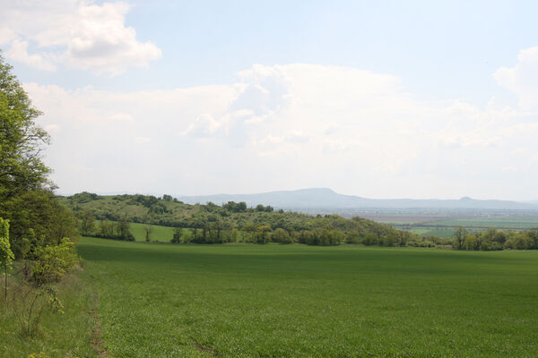 Kamenný Most, 1.5.2014
Modrý vrch - pohled na vrch Dank.
Schlüsselwörter: Štúrovo Hegyfarok Kamenný Most Modrý vrch Dank