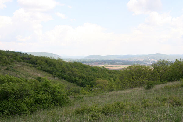 Nána, 1.5.2014
Vrch Dank - Orechová dolina.
Klíčová slova: Štúrovo Hegyfarok Nána Modrý vrch Dank