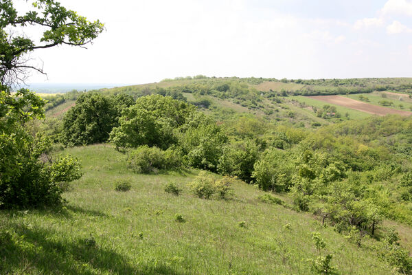 Nána, 1.5.2014
Vrch Dank - pohled na Veľký vrch.
Mots-clés: Štúrovo Hegyfarok Nána Modrý vrch Dank Veľký vrch