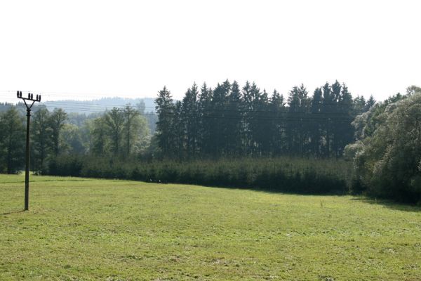 Helvíkovice-Nový Dvůr, 20.9.2009
Nová smrková plantáž na podmáčené louce na břehu Divoké Orlice. Srdce lesního plantážníka se dme pýchou, srdce přírodozpytce krvácí......
Schlüsselwörter: Helvíkovice Nový Dvůr lesnické války