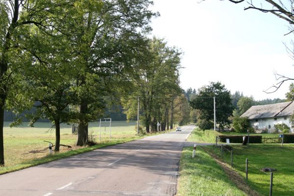 Helvíkovice, 20.9.2010
Lipová alej u Dolního Dvora osídlená krasci lipovými.
Mots-clés: Helvíkovice Dolní Dvůr Lamprodila rutilans krasec lipový