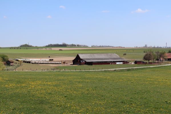 Helvíkovice, 25.4.2019
Statek u letiště.
Klíčová slova: Helvíkovice pastvina u letiště