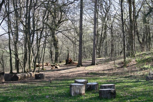 Herľany, 29.3.2014
Lesopark



Klíčová slova: Slanské vrchy Herľany lesopark Lacon querceus