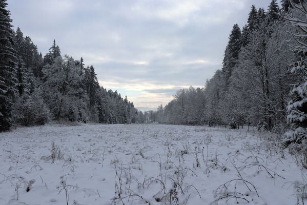 Heřmánkovice, 10.12.2021
Údolí Heřmánkovického potoka.
Klíčová slova: Heřmánkovice Heřmánkovický potok Javoří hory