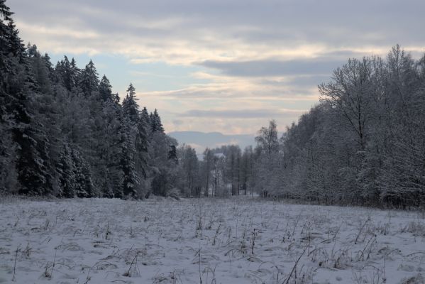 Heřmánkovice, 10.12.2021
Údolí Heřmánkovického potoka. Pohled na Broumovské stěny.
Klíčová slova: Heřmánkovice Heřmánkovický potok Javoří hory