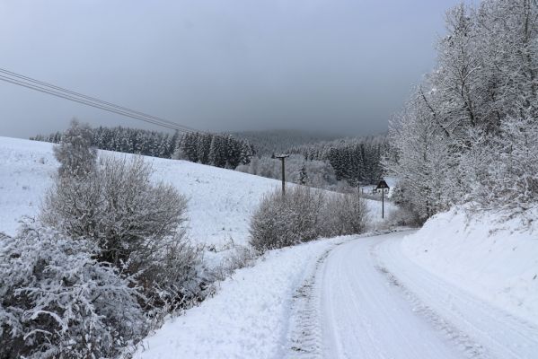 Heřmánkovice, 10.12.2021
Heřmánkovice.
Klíčová slova: Heřmánkovice Javoří hory