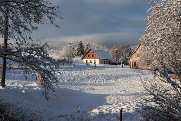 Heřmánkovice, 10.12.2021
Heřmánkovice.
Schlüsselwörter: Heřmánkovice