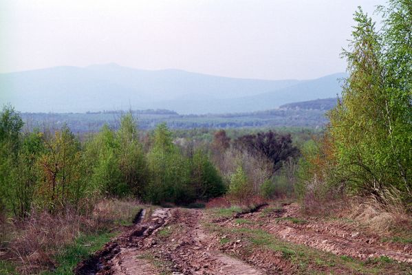 Hlivištia, 26.4.2003
Cesta z Velké Rybnica na Hlivištia přes bývalý pastevní les. V pozadí Vihorlat.
Keywords: Hlivištia Vihorlat