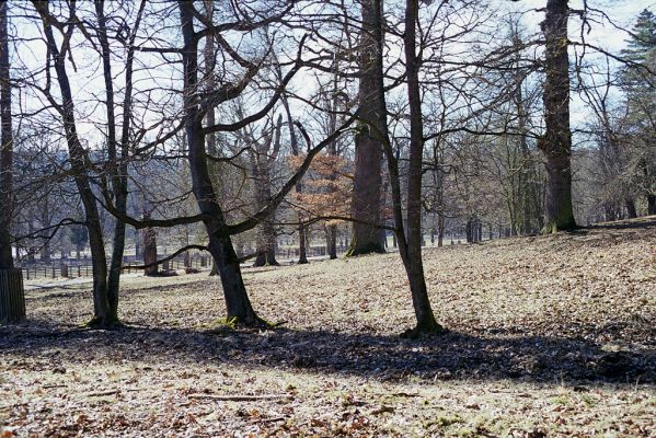 Hluboká nad Vltavou, 10.3.2003
Stará obora, okolí Zlatěšovického rybníka.




Mots-clés: Hluboká nad Vltavou Stará obora Zlatěšovický rybník