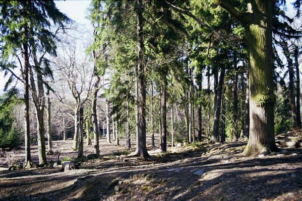 Hluboká nad Vltavou, 10.3.2003
Stará obora, vrch Velký Kameník.


Klíčová slova: Hluboká nad Vltavou Stará obora vrch Velký Kameník