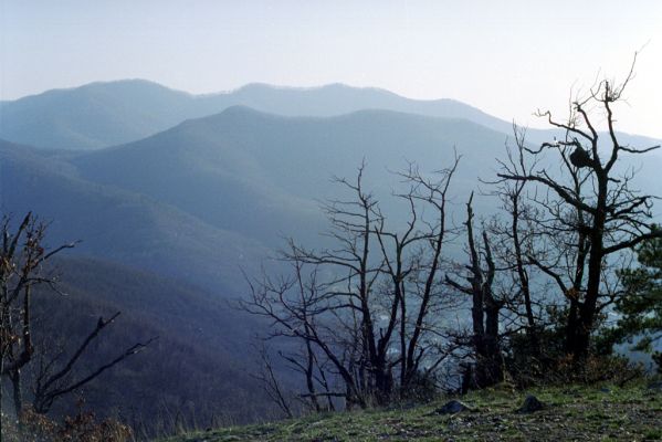 Hodruša-Hámre, 31.3.2002
Vrchy - Kašivárová. Pohled na jih na vrchy Kojatín a Drastavica.


Klíčová slova: Štiavnické vrchy Hodruša-Hámre Vrchy Kašivárová Kojatín Drastavica