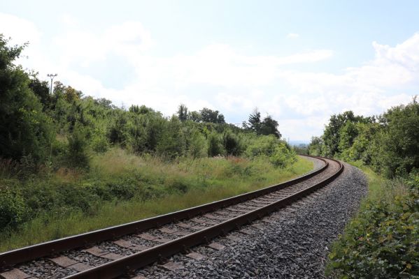 Holice, 2.8.2021
Nerudova ulice - zarůstající louka u železniční trati.
Schlüsselwörter: Holice Nerudova