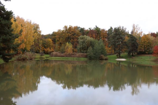 Holovousy, 31.10.2020
Pohled na jižní cíp obory.
Klíčová slova: Holovousy obora