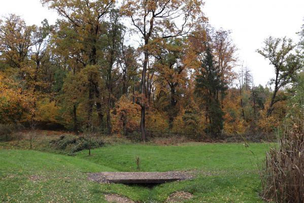 Holovousy, 31.10.2020
Pohled na jižní cíp obory.
Klíčová slova: Holovousy obora