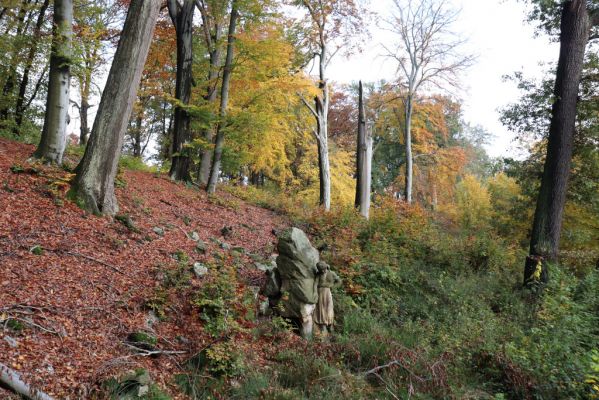 Holovousy, 31.10.2020
Klíčová slova: Holovousy obora hradiště Holovousy