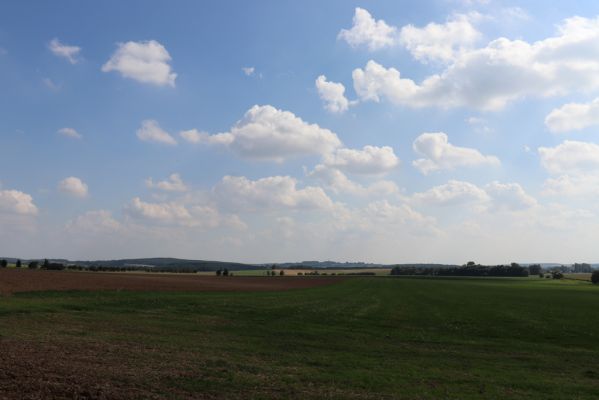 Sovětice, 14.9.2021
Horní Černůtky - pohled na Svíb a Chlum.
Schlüsselwörter: Sovětice Horní Černůtky Svíb Chlum