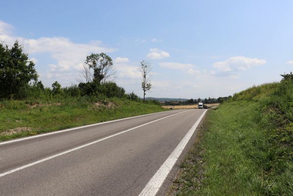 Horní Ředice, 23.7.2021
Úvoz hlavní silnice u Kaple.
Schlüsselwörter: Horní Ředice Kaple Agriotes gallicus