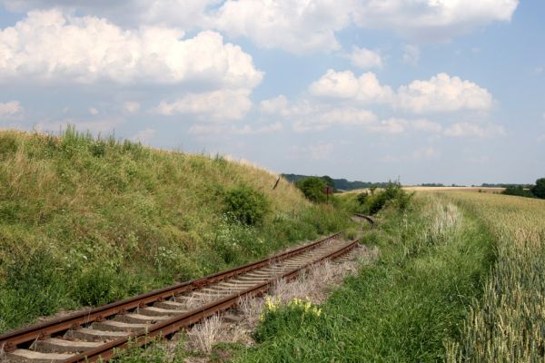 Hoříněves, 2.8.2009
Formace suchých trávníků v zářezu železniční trati.
Klíčová slova: Hoříněves