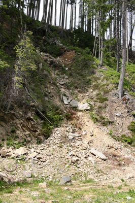 Horní Malá Úpa, 21.5.2012
Sesuv svahu na jižním úpatí vrchu Heida.
Klíčová slova: Krkonoše Horní Malá Úpa Haida Pheletes aeneoniger