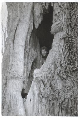 Týniště nad Orlicí, 17.4.1987
U Houkvice, největší východočeský dub.
Mots-clés: Týniště nad Orlicí U Houkvice Mertlik