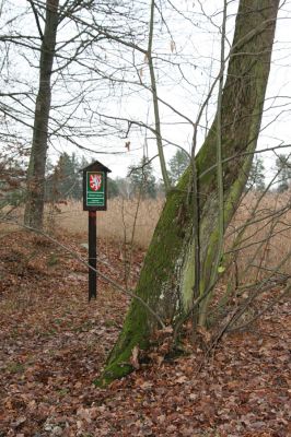 Hradec Králové, Na Plachtě, 15.12.2015
Lípa v aleji u hráze rybníka Jáma. Biotop kovaříka Calambus bipustulatus.



Klíčová slova: Hradec Králové Na Plachtě rybník Jáma Calambus bipustulatus