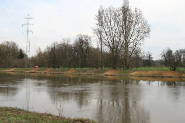 Hradec Králové, 4.4.2010
Levý břeh Labe u Třebše. Hradečtí úředníci povolují likvidaci stromů a keřů často a rádi. 
Mots-clés: Hradec Králové Třebeš Labe