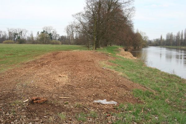 Hradec Králové, 4.4.2010
Pravý břeh Labe u Pražského předměstí. Hradečtí úředníci povolují likvidaci stromů a keřů často a rádi.
Schlüsselwörter: Hradec Králové Pražské předměstí Labe