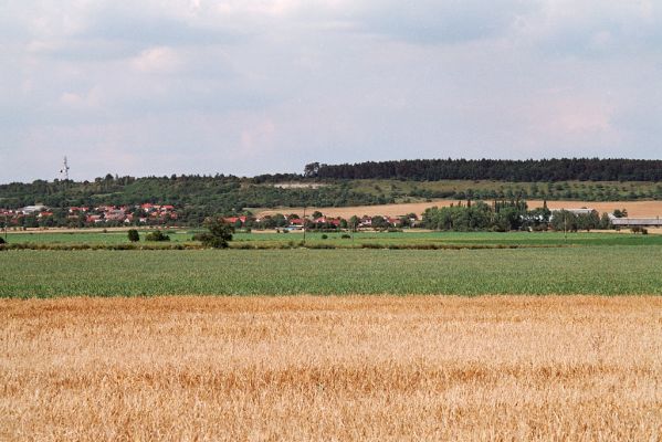 Dobšice, 4.8.2004
Pohled na Hradčany a Báň.
Mots-clés: Dobšice Hradčany Báň Agriotes gallicus